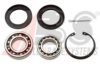 VW 211501287 Wheel Bearing Kit